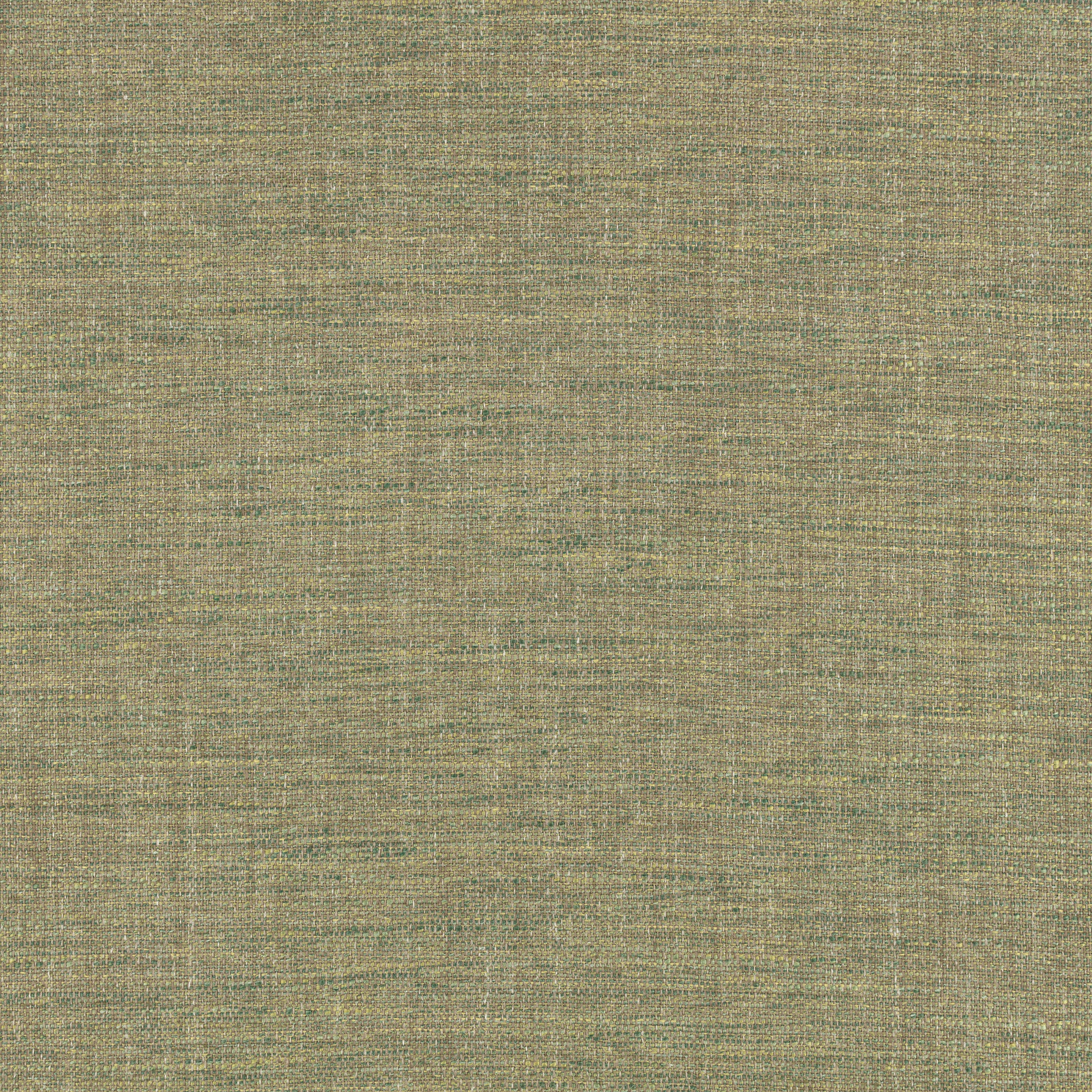 Englesson Vienna Sapling #Variant_Sapling