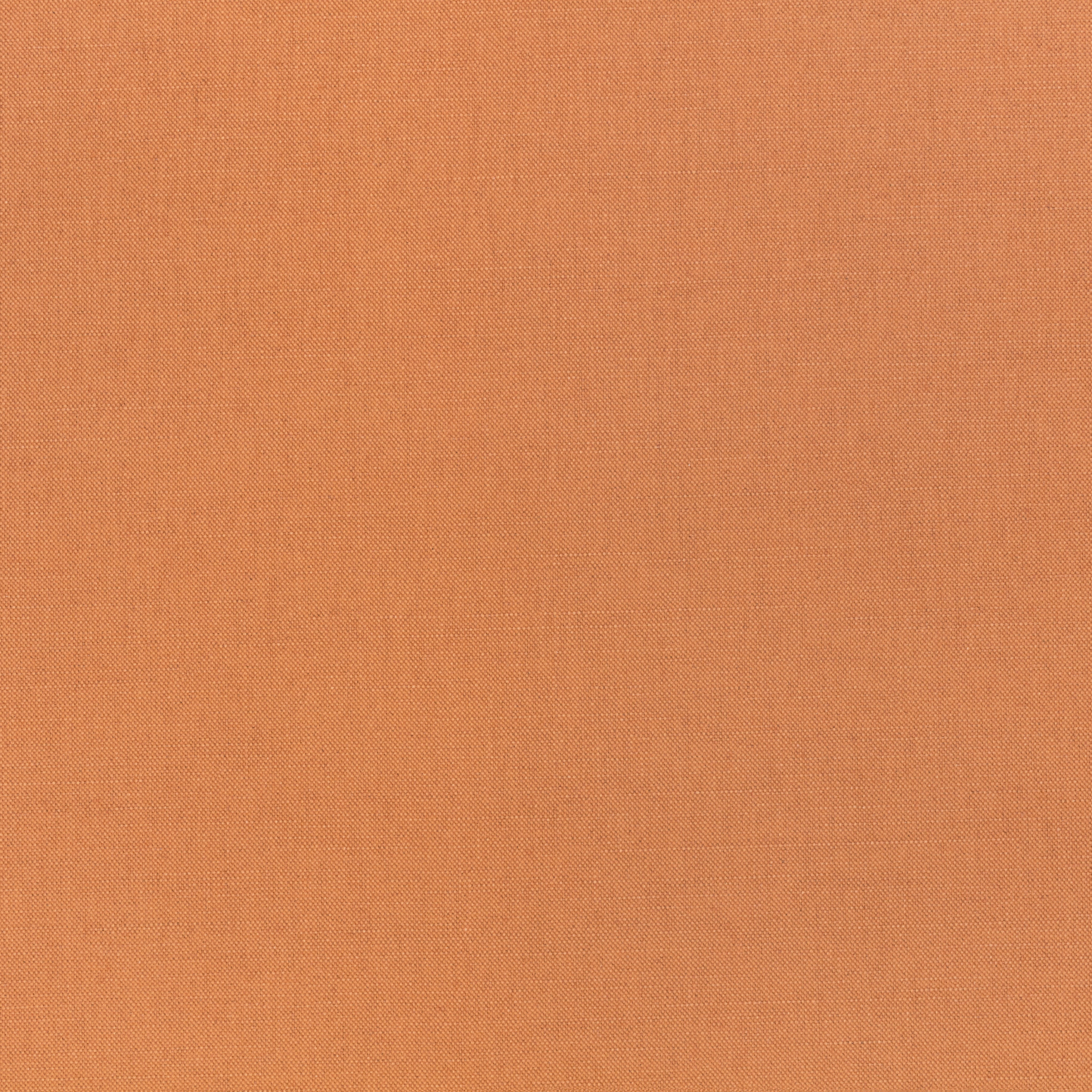 Engelsson Geneva Fox #Variant_Fox