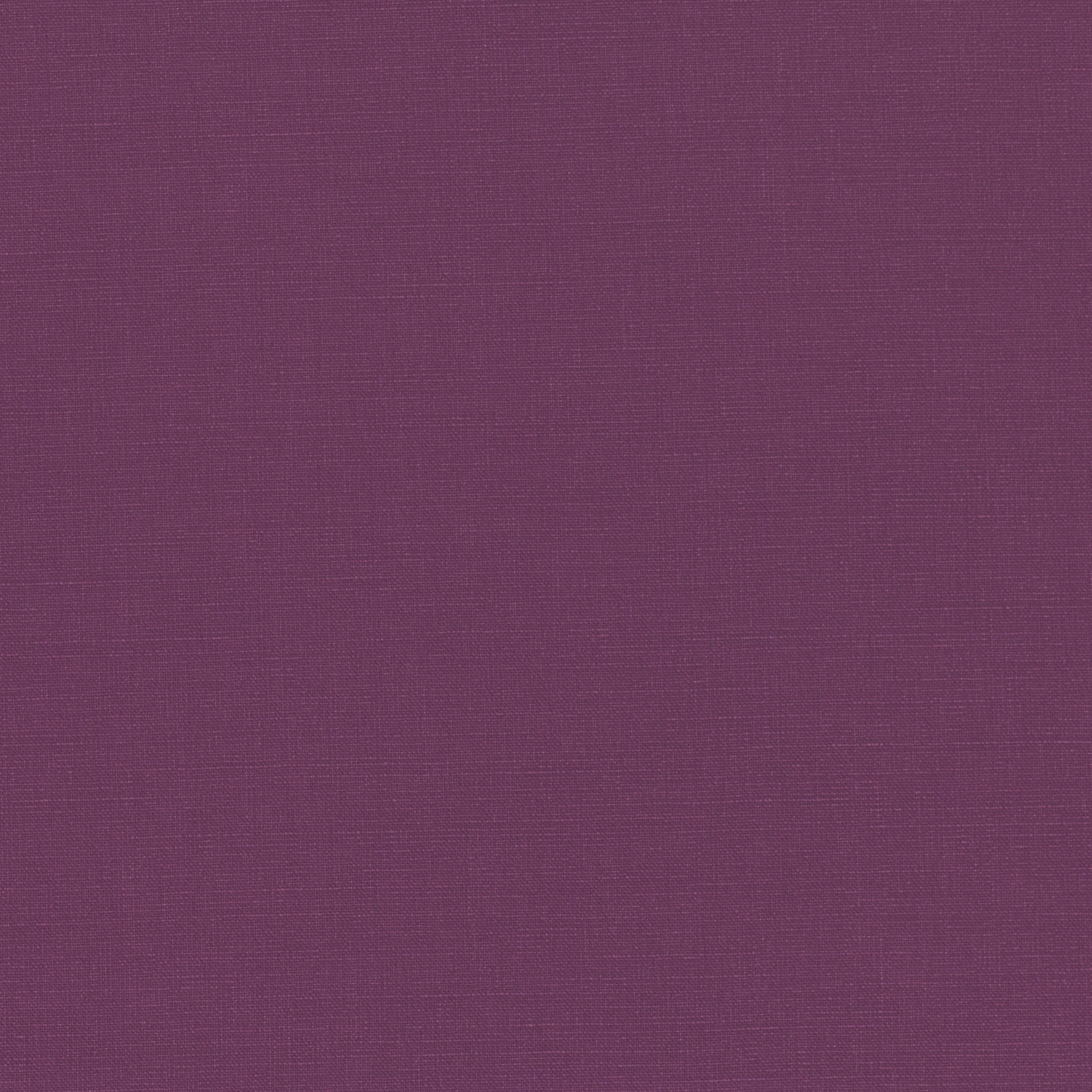 Englesson Geneva Grape #Variant_Grape