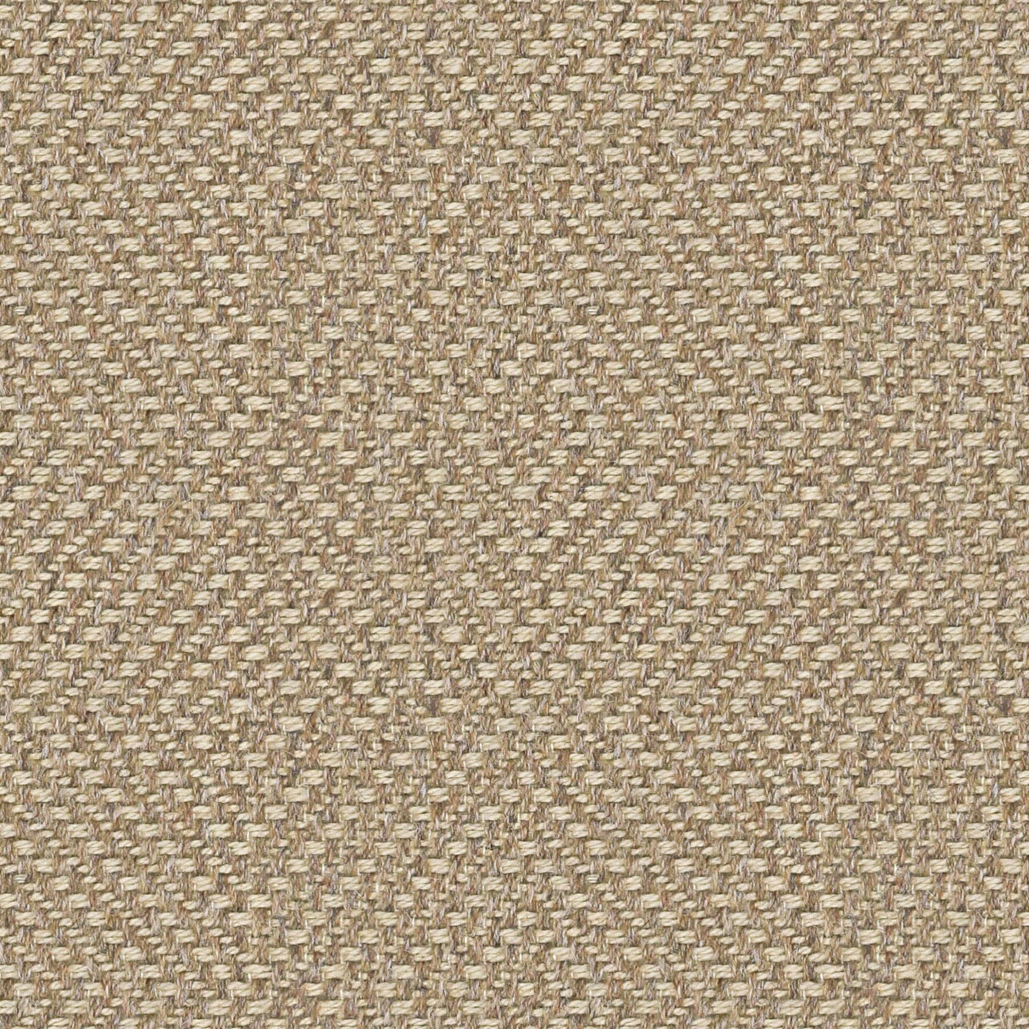 Englesson Westray Biscuit #Variant_Biscuit