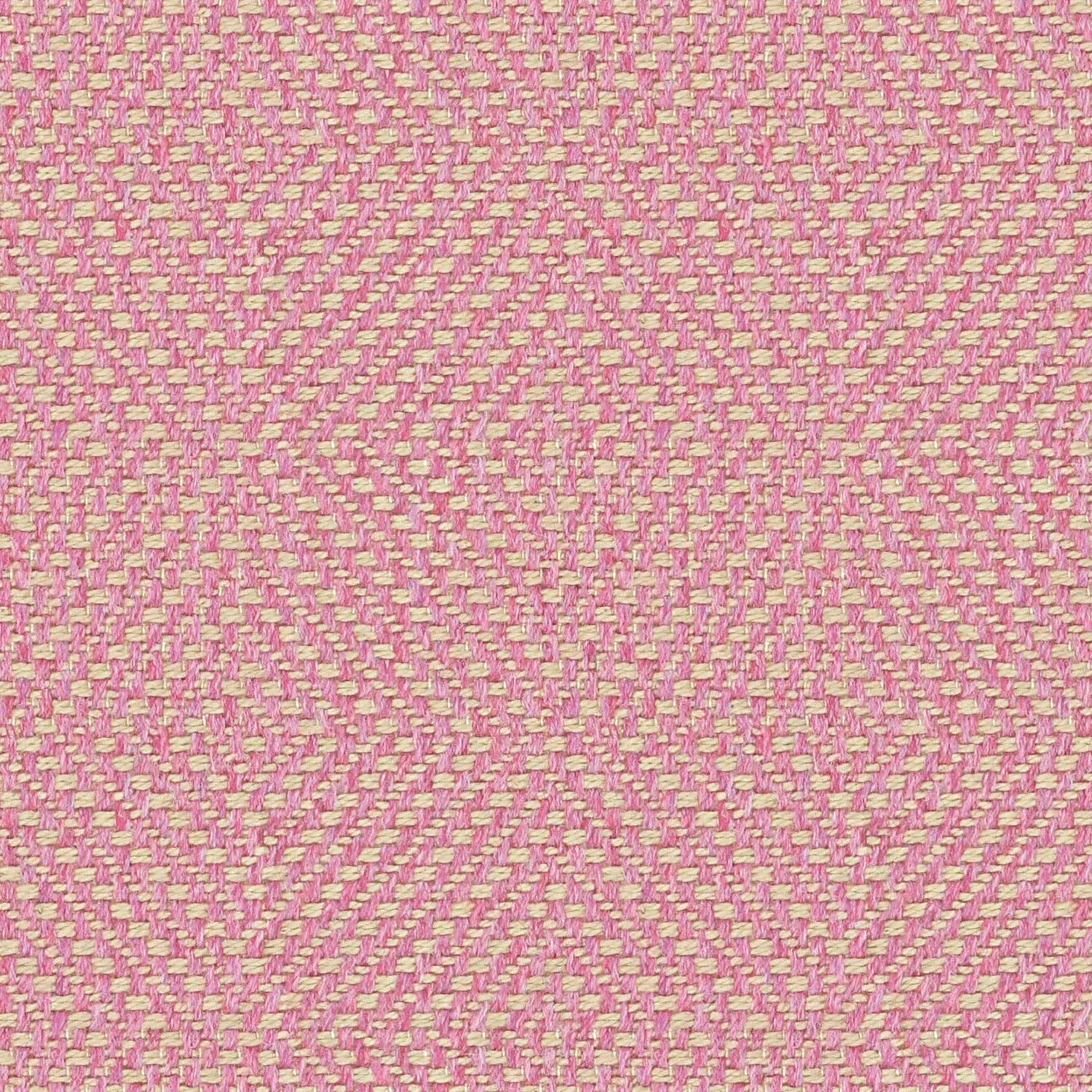 Englesson Westray Peony #Variant_Peony