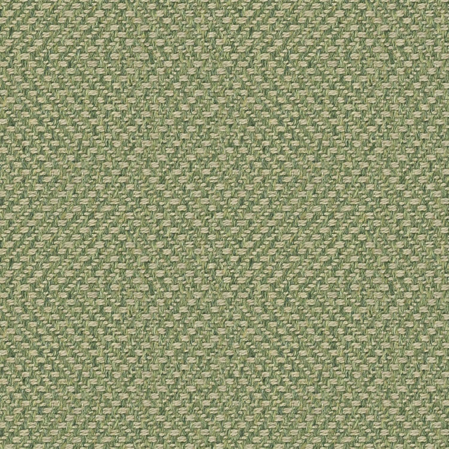 Englesson Westray Moss #Variant_Moss