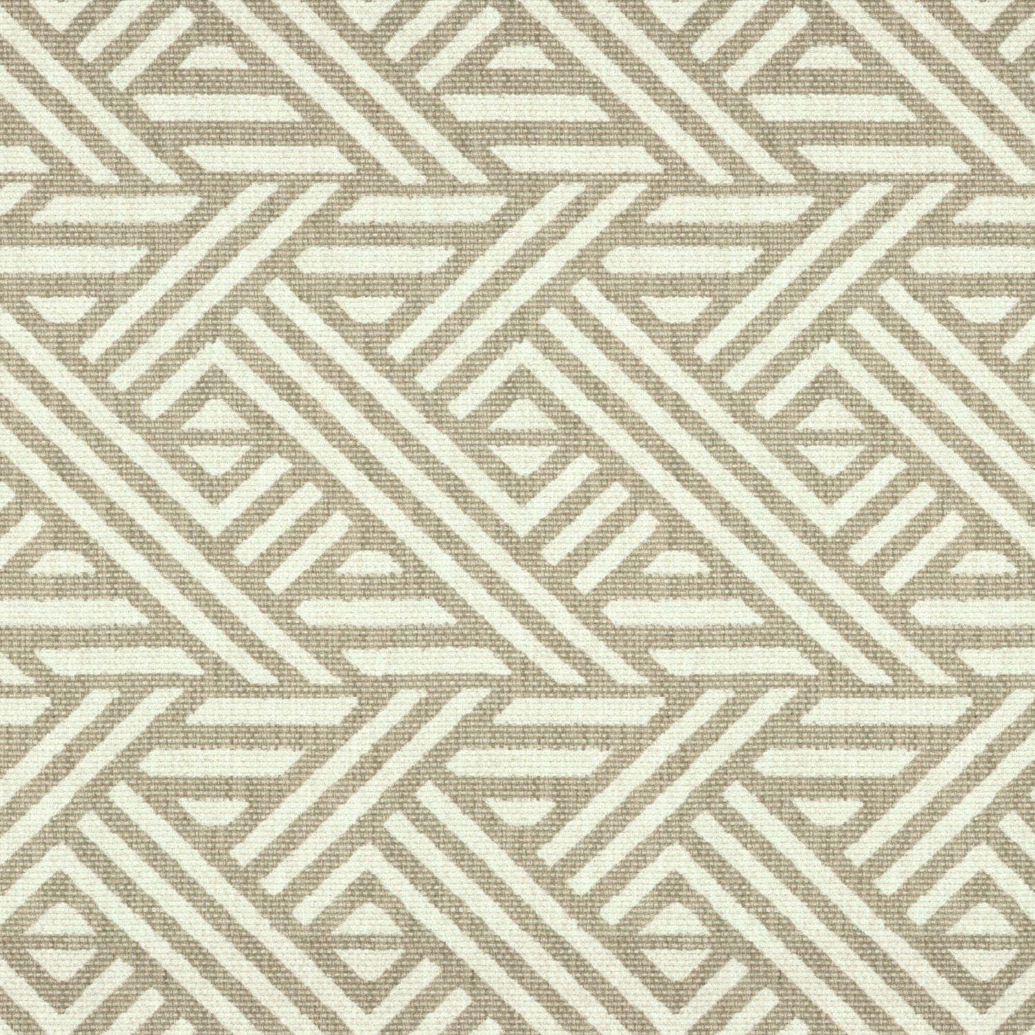 Englesson Pampas Dove #Variant_Pampas Dove