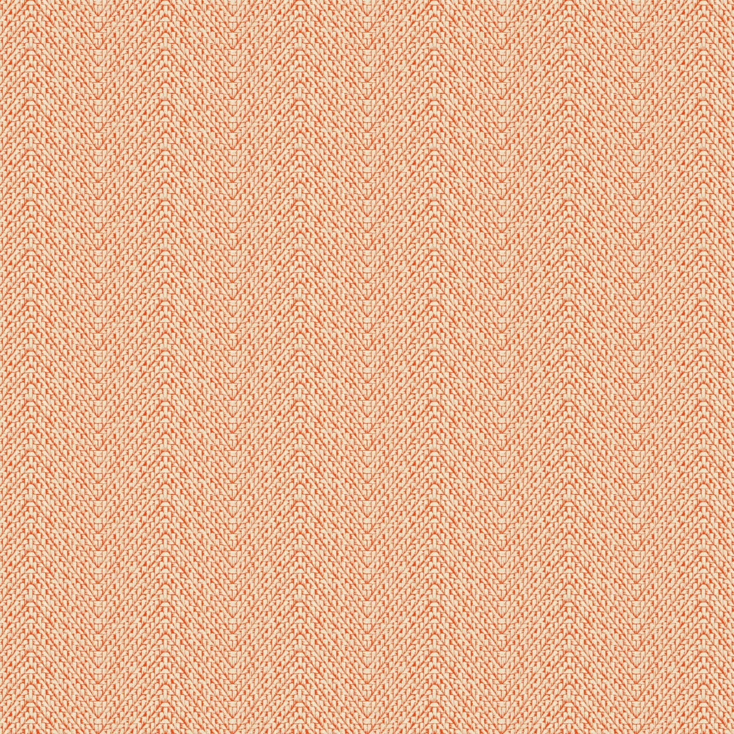 Englesson Salta Orange #Variant_Orange