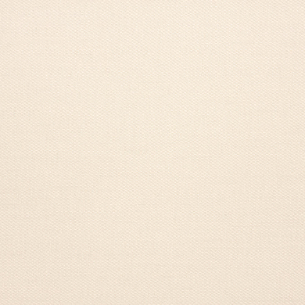 Englesson Geneva Parsnip #Variant_Parsnip