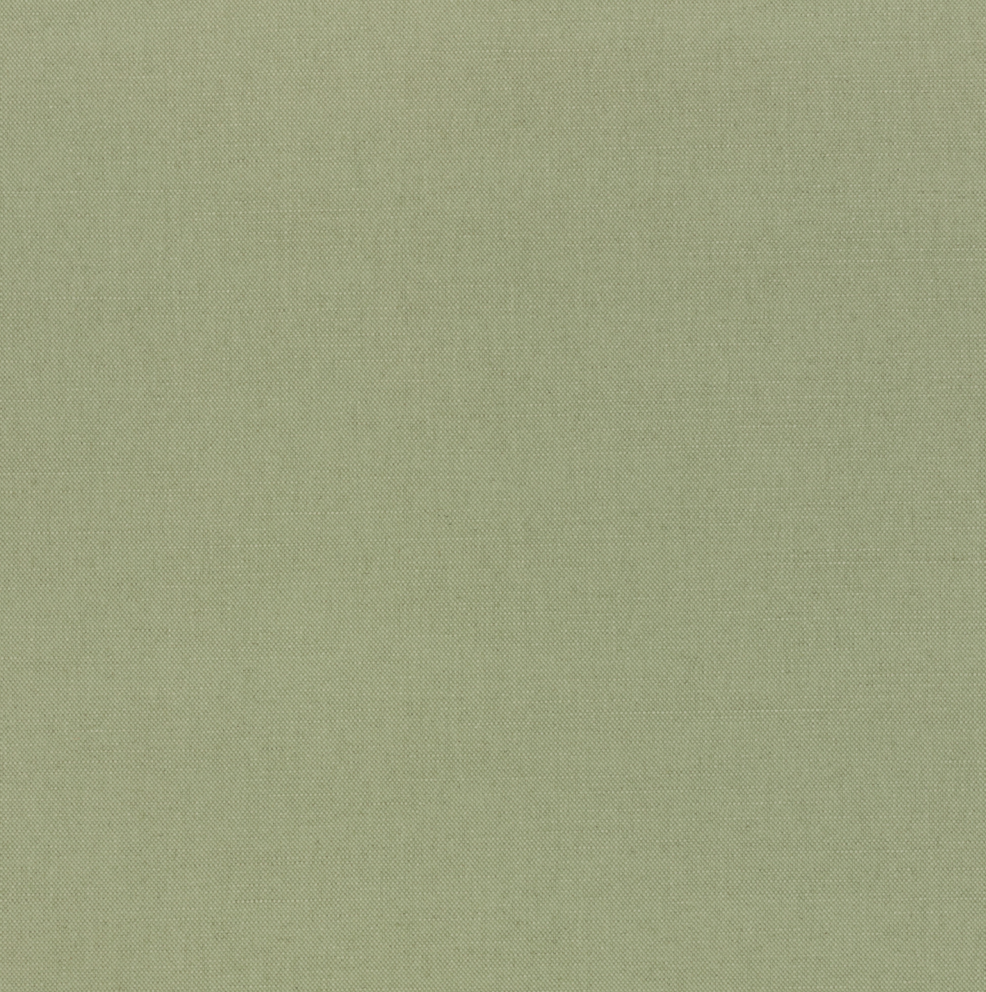 Englesson Geneva Rosemary #Variant_Rosemary