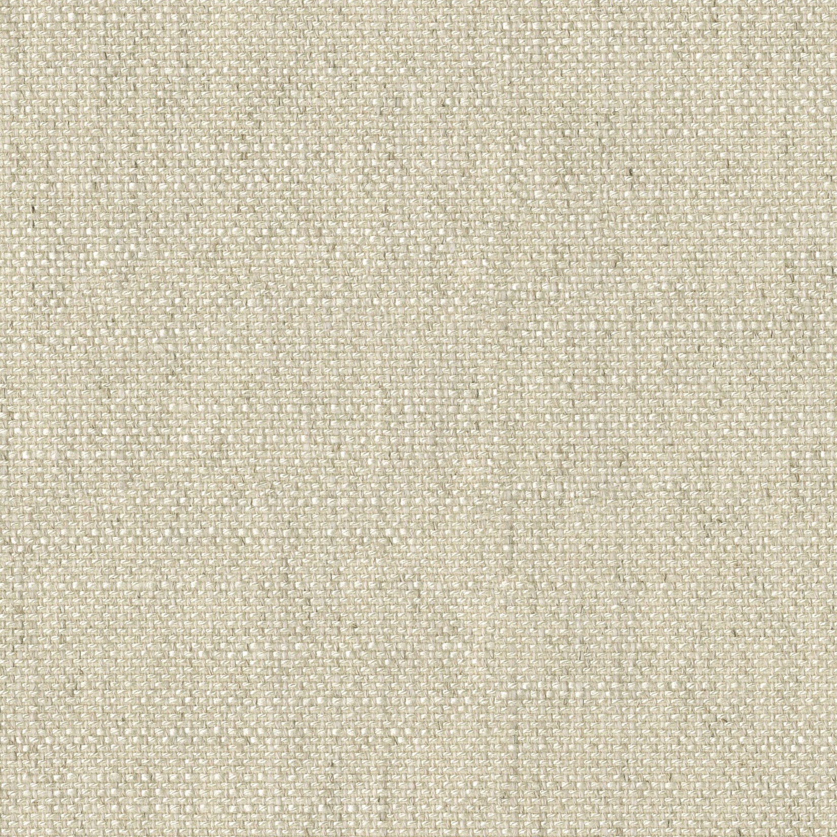 Englesson Ecru Piquet #Variant_Ecru