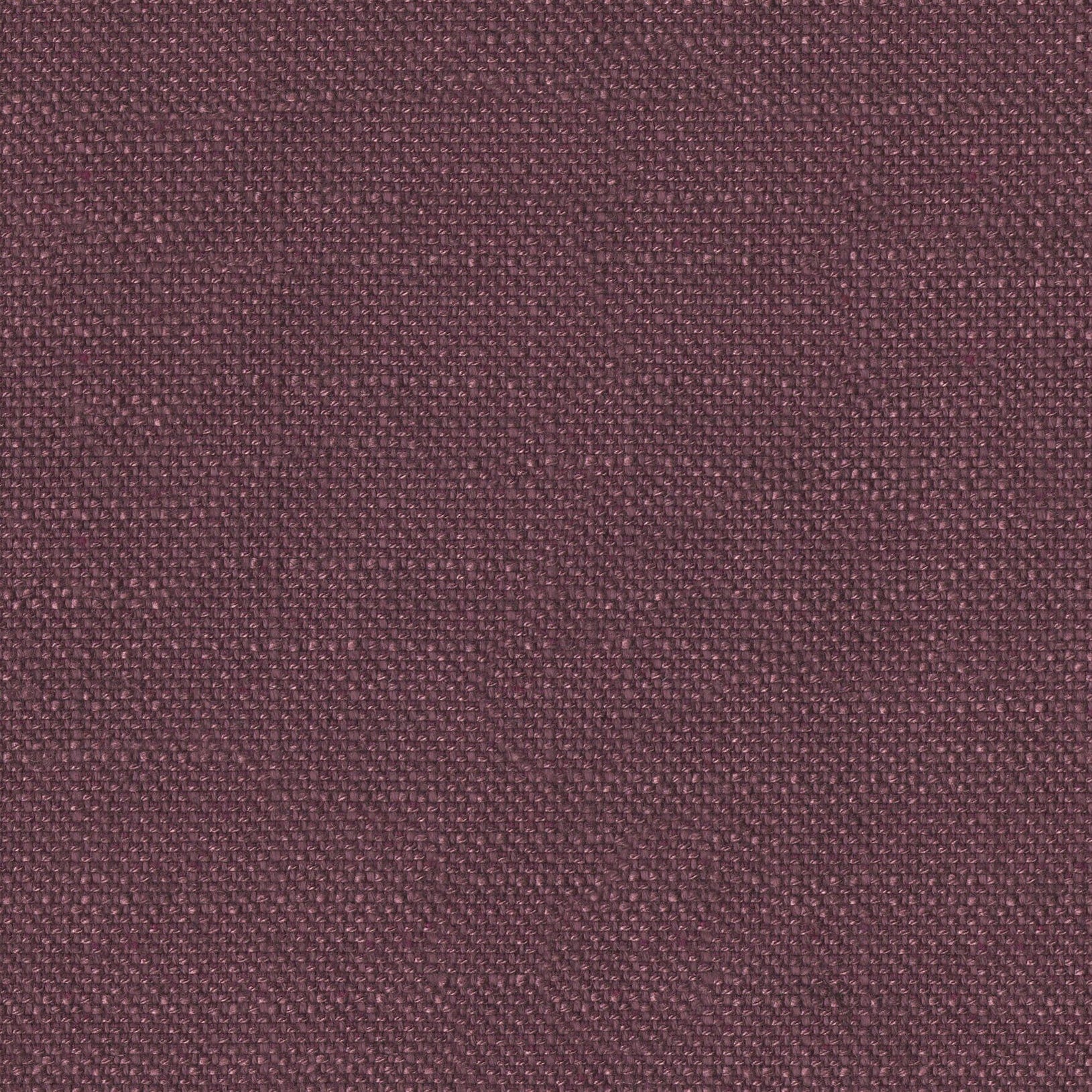 Englesson Aubergine Piquet #Variant_Aubergine