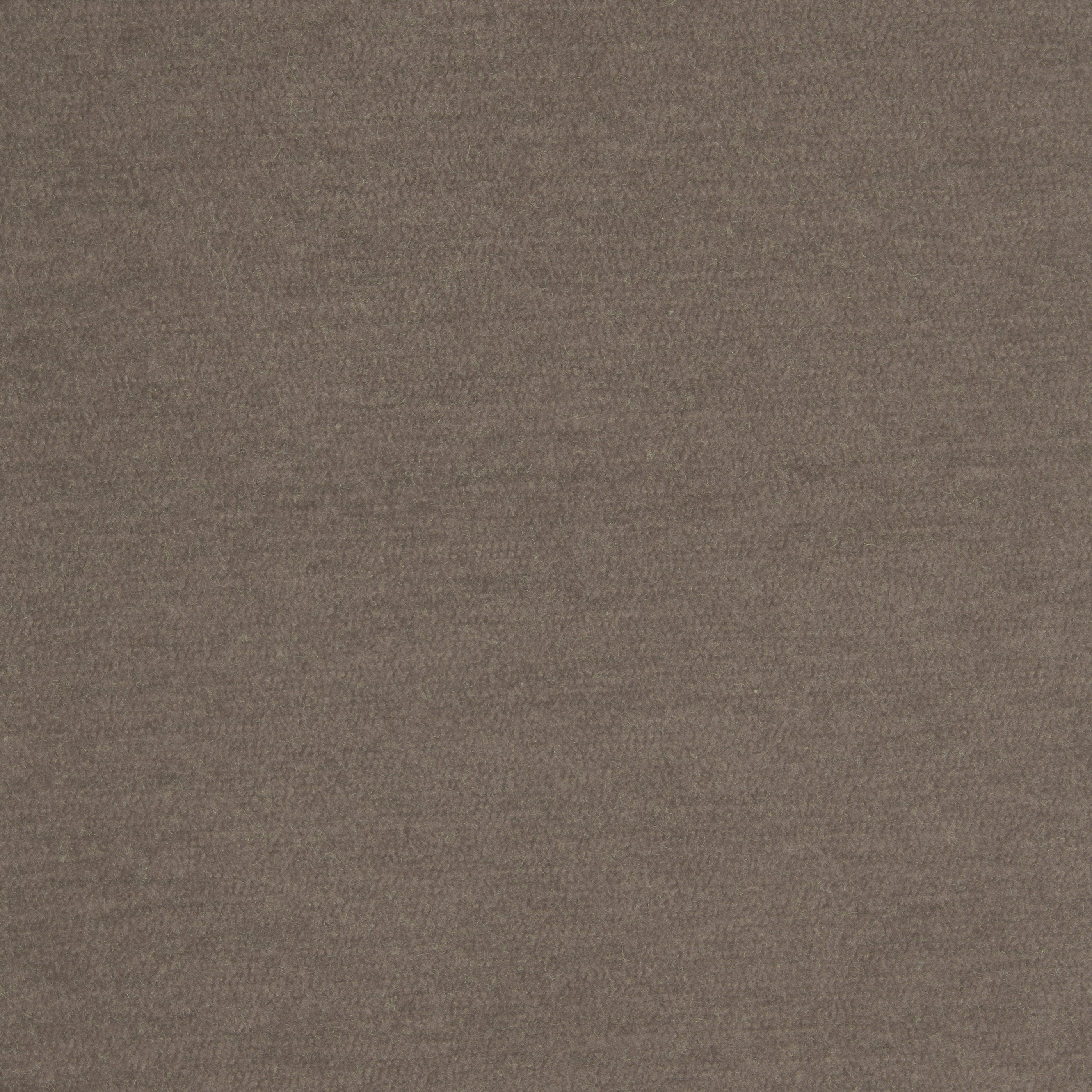 Englesson Colour 02 Sancho #Variant_Colour 02