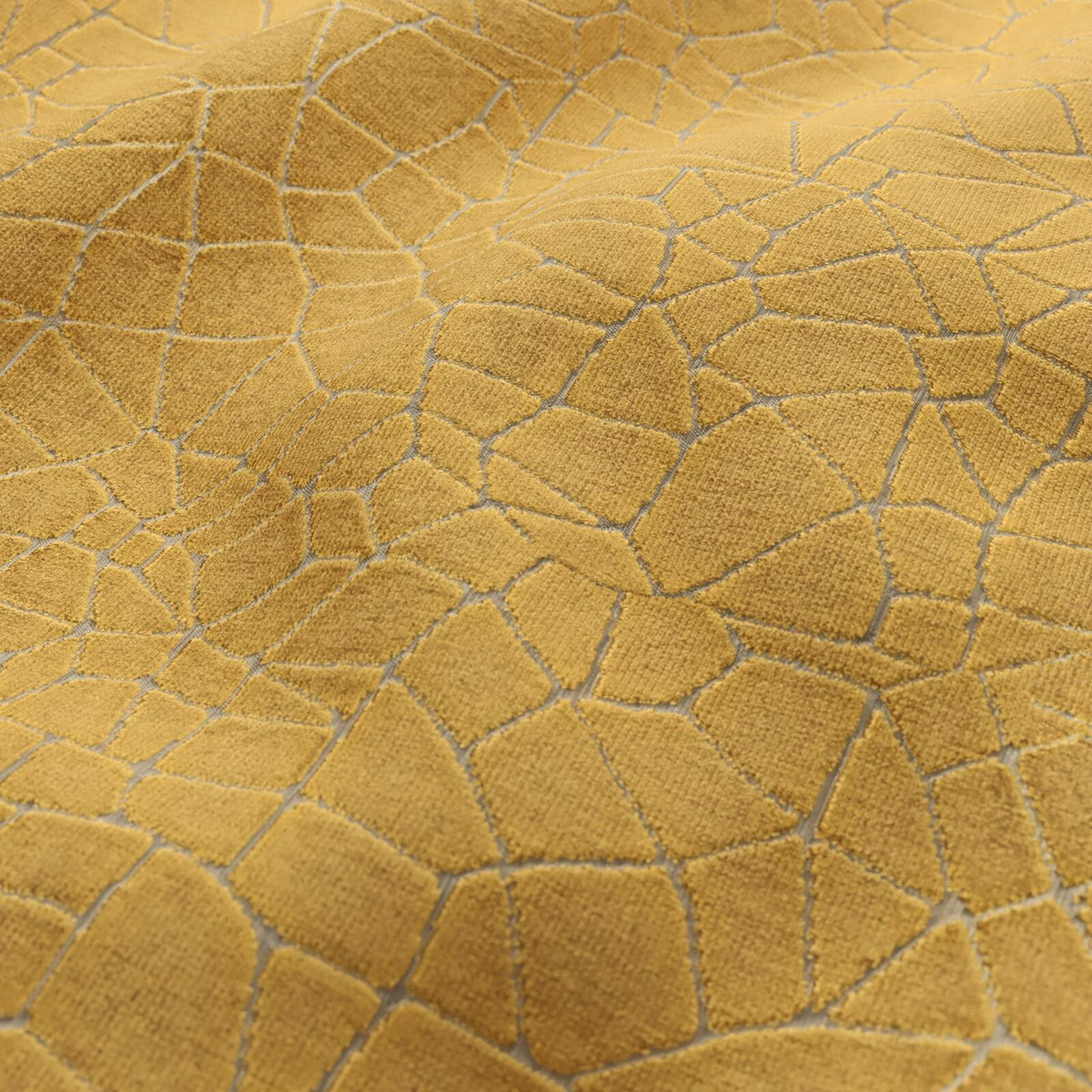#Variant_Gold